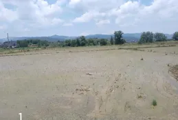 田間裏的秘密，插秧機插秧和人工插秧的區別！