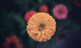 3星座，表面波瀾不驚，內心波濤洶湧，有再多委屈也只會藏在心裏