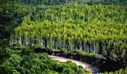 【五律】夏雲薄暮起