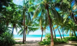 這句歌詞，是否也勾起了你關於夏天的美好回憶呢？