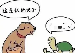 每天搞笑：讓你樂不停，都住橋洞了，還收拾的這麽好。