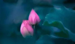 為何從自己的角度看問題，就總是看不見自己的問題？佛學給你答案