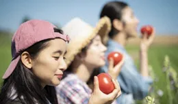 一年翻番？有機西紅柿畝產較高，揭秘背後的‘秘訣’，你信嗎？