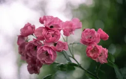 人這一生，總有人渡你