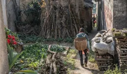 農村打工者的兩難：是繼續漂泊還是回歸故鄉的艱難選擇？