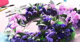 南方的草北方的寶，之鳳眼蓮，你真的懂它嗎？