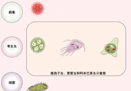 關於旅行者腹瀉那些事