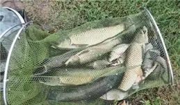 5種「X鉛」釣法，野釣必學技巧，不怕大魚不咬鉤