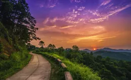 7.6-10.6，桃花運旺，喜遇真愛，一路順遂，愛情甜蜜的4個生肖