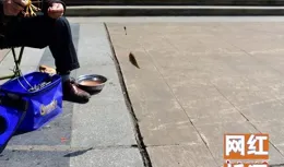 廣西柳州，一群大媽圍著「網紅橋洞」排隊釣魚，一天能釣15公斤