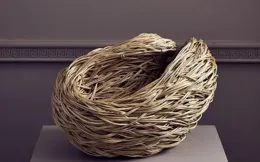 她號稱「柳樹女王」，宣稱能聽懂柳樹內心，作品果然不同尋常