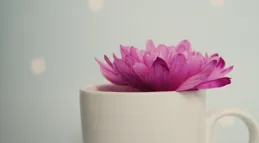 人，為什麽會痛苦