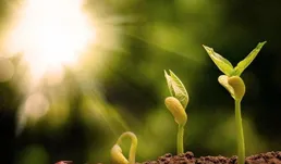 教育的哀嚎：經常性輸出絕對觀點