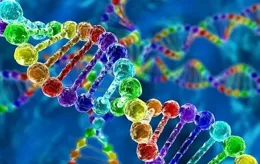 2023 年中國面孔泛基因組圖譜亮相自然雜誌，是福是禍？