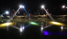 釣魚八大招，招招有規律，你又學會了幾招?