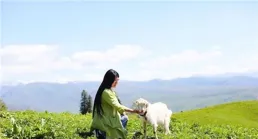 牛馬向往的地方都是遠山和草原 | 冷段子2927 & 去年今日2570