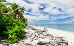 這些星座男比起老婆更忘不掉初戀白月光？心疼！