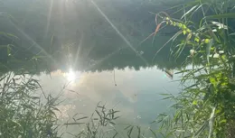 今天釣到鯽魚啦