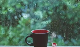 隨筆：聽雨在盛夏