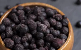 揭秘藍莓冷凍之謎：從冰箱到餐桌的鮮味守護