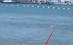 淚目！青島一父親為救孩子溺亡，妻子蹲地崩潰痛哭，遲遲不願放棄