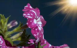 人生，難在做人，重在做事