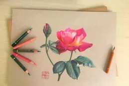 溫婉如詩，彩鉛綻放花卉之美 —— 彩鉛水彩藝術探