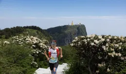 峨眉山山頂杜鵑花綻放