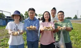 走！一起去太北村「挖馬鈴薯」！