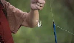 夏季釣魚的訣竅是水深！淺了不行！深了也不行！花裏胡哨的更不