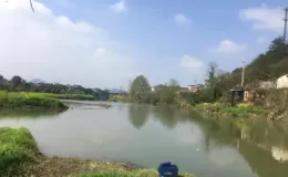 黃辣丁的「高效釣法」，一晚上幾十條、根本吃不完！