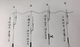 夏季野釣鯽魚浮漂應該如何調釣？