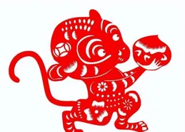 生肖猴終身壽命：尤其是 1968、80、92 年，不是迷信，開啟 1 分鐘破