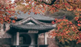 王昌齡的這首詩，句句不提愁，句句寫都是愁，短短4句扣人心弦！