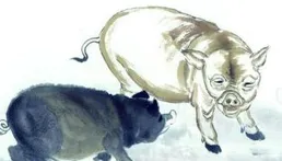 屬豬者：最近一周，記得特別留心一個人，他會幫你度過大難關！