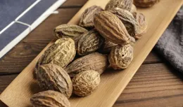 訶子（斂肺澀腸藥）