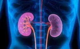 哪些行為對腎傷害大？