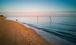 能吃是福，善吃是智！這些方面「少」一點，更養生