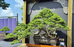 全場總冠軍的風采——2024年印尼