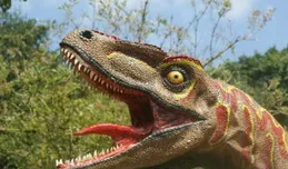 中國發現「徐氏亞洲暴龍」