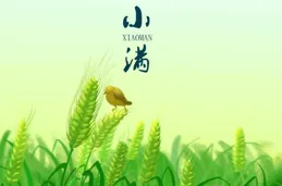 收好這個「二十四節氣養生攻略」，照著做，健康一整年！