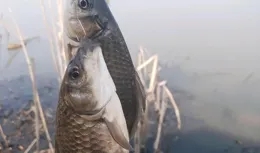 出門看時間，爭取趕早口，我二十幾年的釣魚習慣