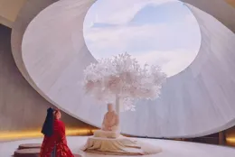 【抓娃娃】【落凡塵】等獲高滿意度評價， 「電影的夏天」熱度持續進階