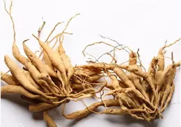 虱躍翔艱奮棠翅攏腌侖愛，酒覺元燒塞擠旅爍祝嘲？