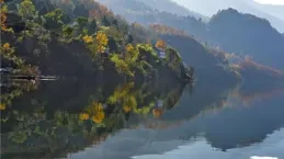 六盤水清涼一夏！避暑大軍為何狂潮而至？