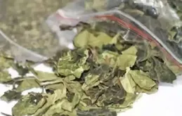 警方提醒：這些「茶」，千萬別碰！