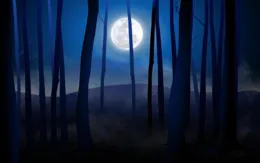 獨倡獨酬還獨臥，那些孤獨的詩詞告訴我們，有些路總要一個人走