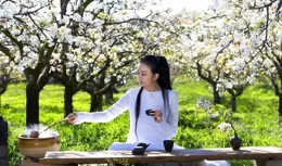 66歲楊麗萍的家美如仙境：無兒無女，養鳥種花，將光陰活成詩