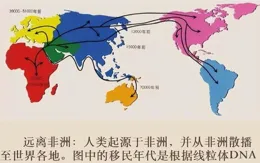 「達爾文與自然選擇：揭開生命演化的奧秘」