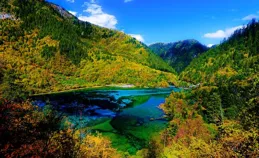 我是上海人，去四川旅遊，才發現這裏的人居然喝酸湯面